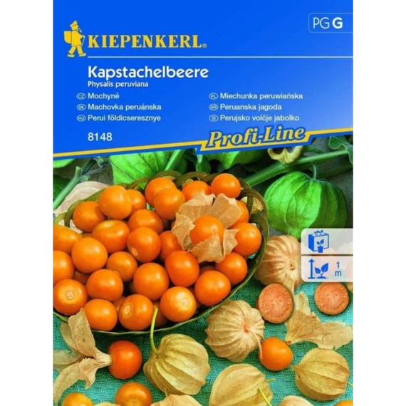 Földi cseresznye