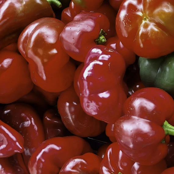 Pritamin paprika